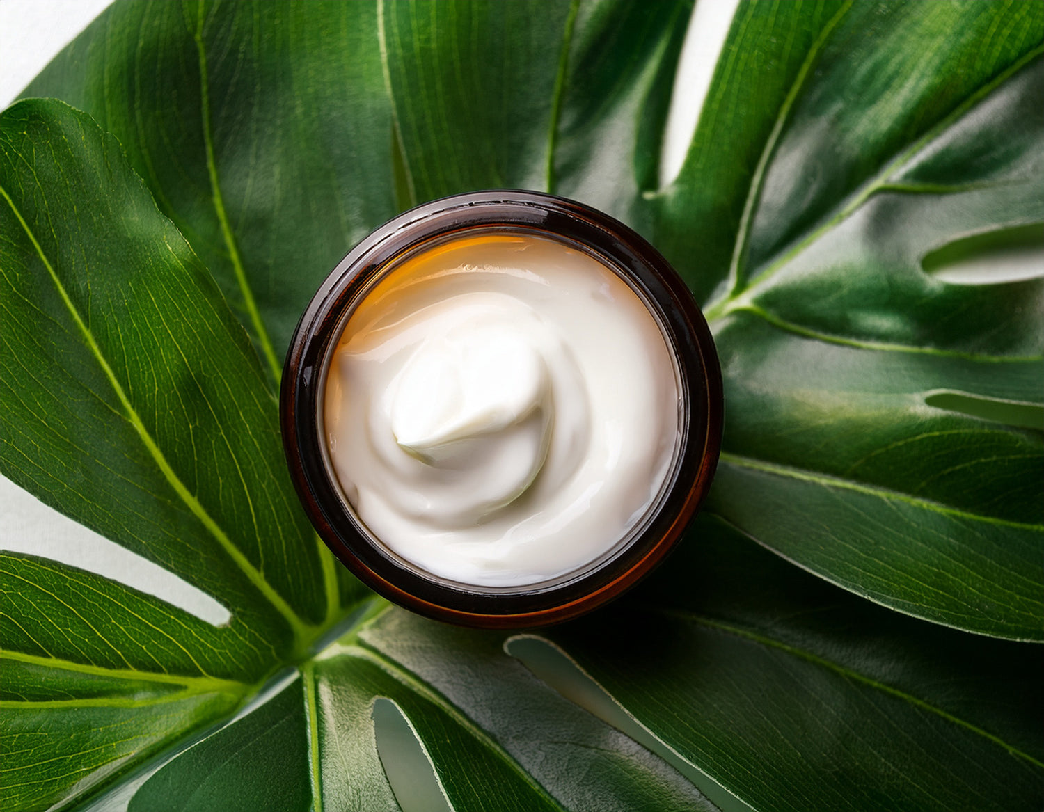 Jar of white cream on a green leaf