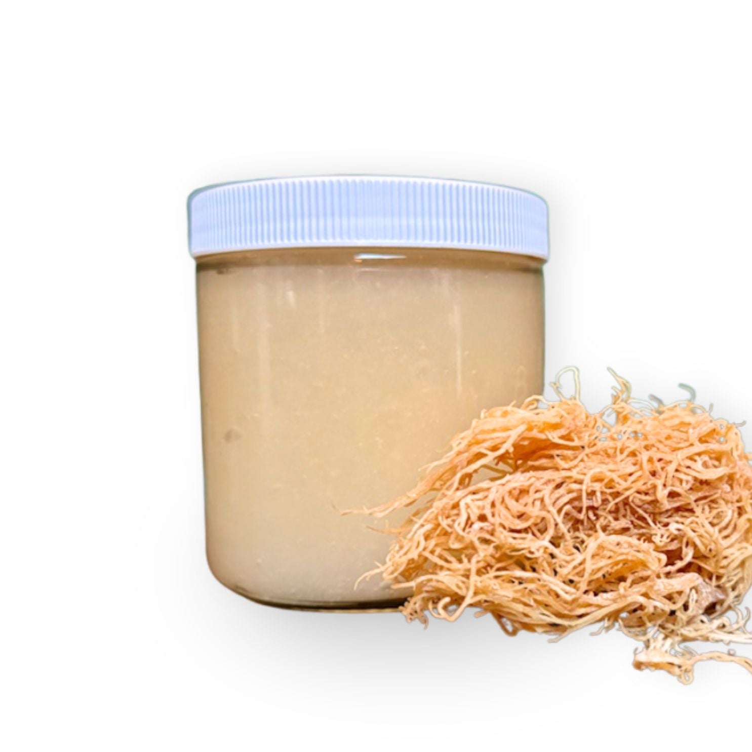 Wildcrafted Irish Sea Moss Gel – Freshly Made in Small Batches