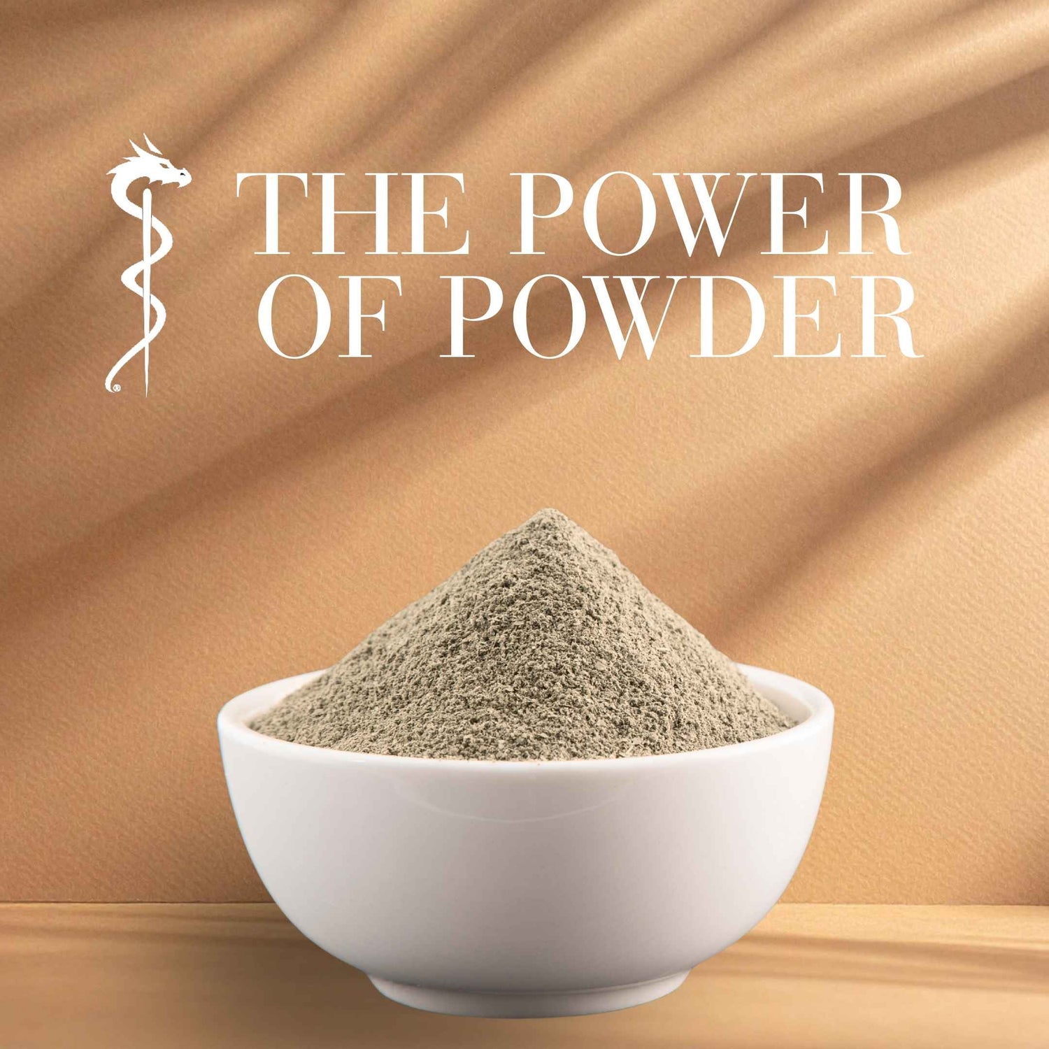 White bowl filled with powder on a brown background with 'The Power of Powder' text.