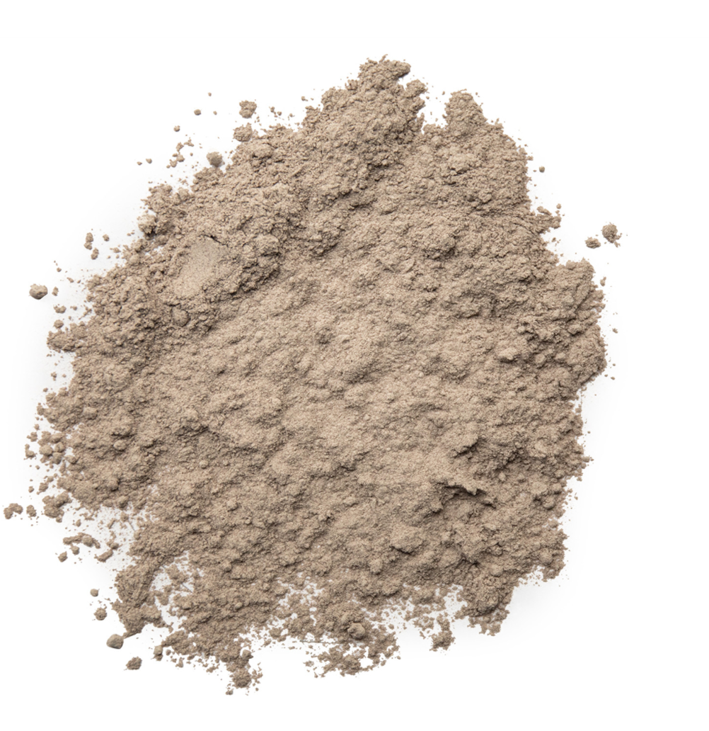 sea moss powder on a white background