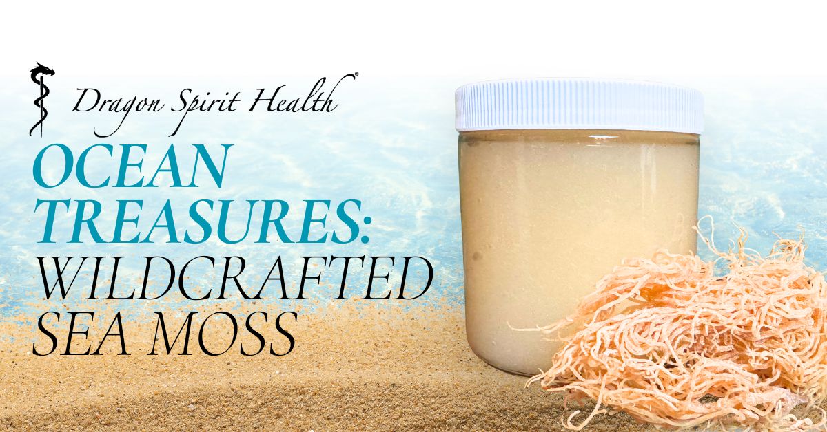 Wildcrafted Sea Moss & Organic Nutrition | Dragon Spirit Health